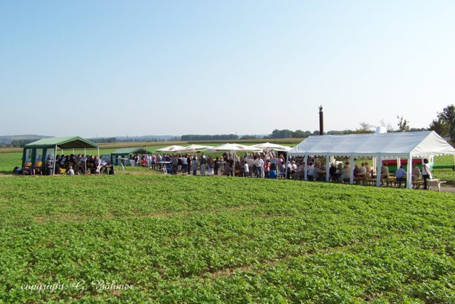 Kunstwerk 2011-0156.JPG